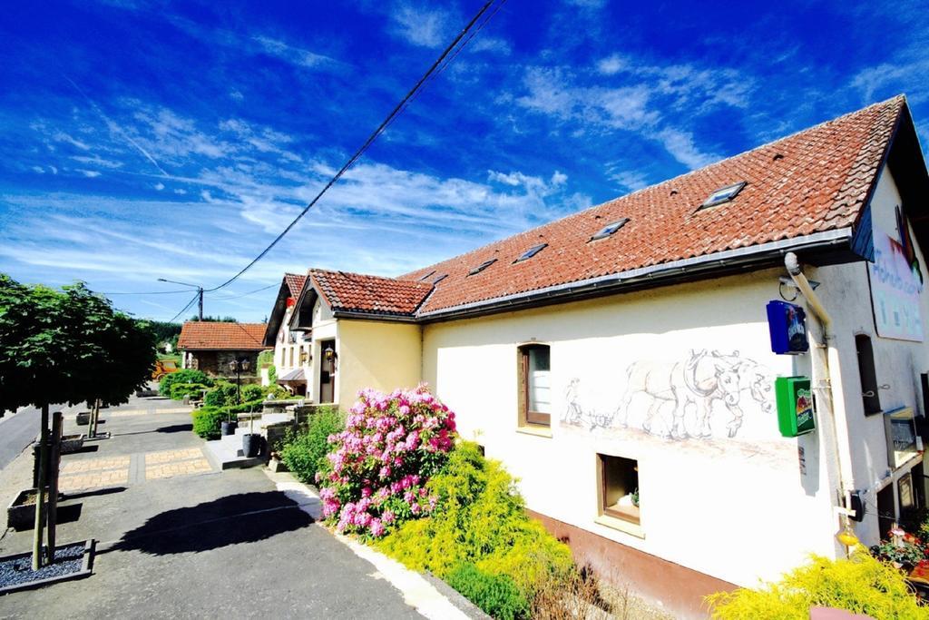 Appartement Am Hohenbusch Burg Reuland Bagian luar foto
